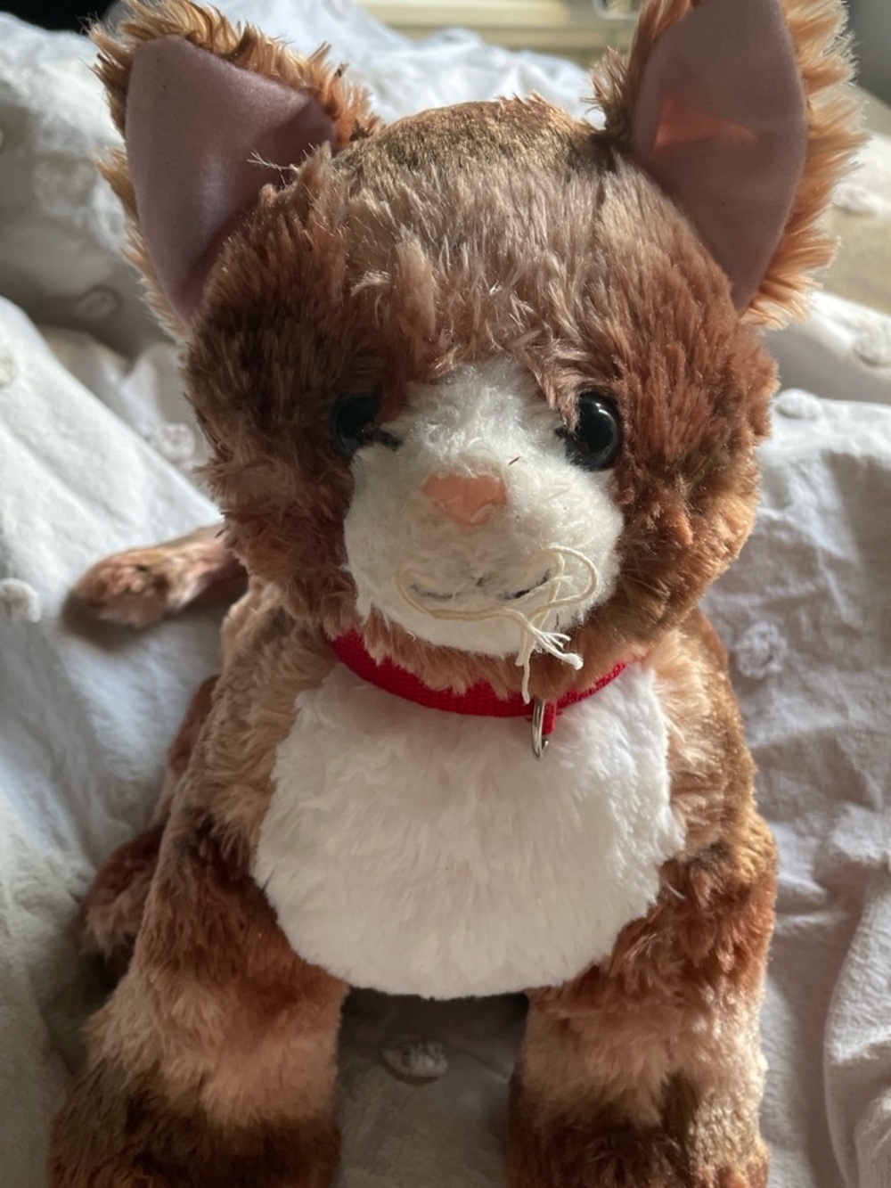 Build A Bear Promise Pet Cat